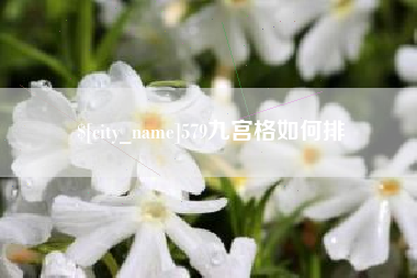 大理579九宫格如何排