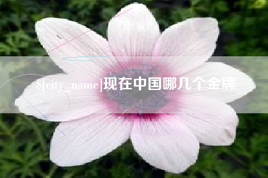 大理现在中国哪几个金牌