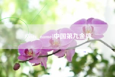大理中国第九金牌