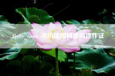 大理消防证国网查询操作证