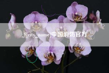 大理中国消防官方