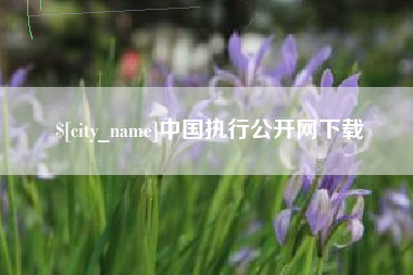 大理中国执行公开网下载