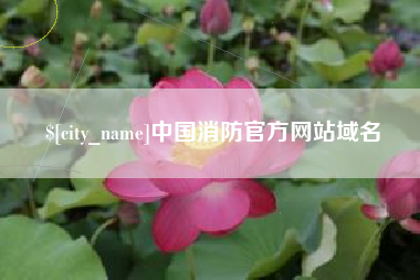 大理中国消防官方网站域名