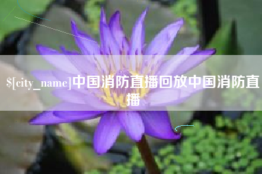 大理中国消防直播回放中国消防直播