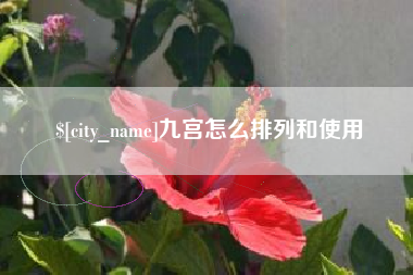 大理九宫怎么排列和使用