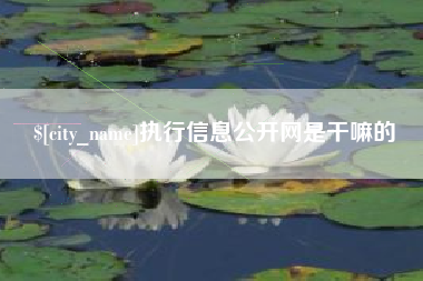 大理执行信息公开网是干嘛的