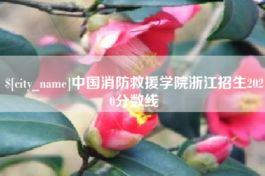 大理中国消防救援学院浙江招生2020分数线