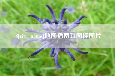 大理地图指南针图标图片
