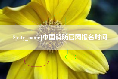 大理中国消防官网报名时间