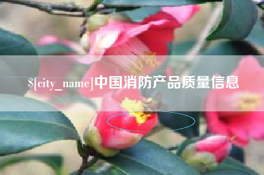大理中国消防产品质量信息