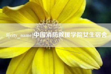 大理中国消防救援学院女生宿舍