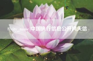 大理中国执行信息公开网失信
