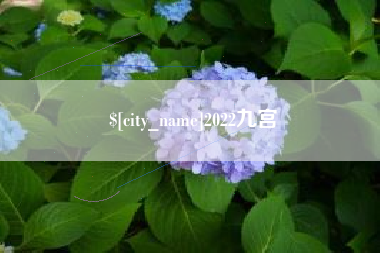 大理2022九宫