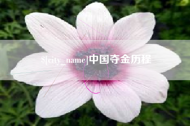 大理中国夺金历程