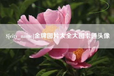 大理金牌图片大全大图卡通头像