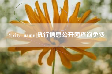 大理执行信息公开网查询免费