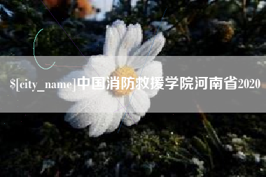 大理中国消防救援学院河南省2020
